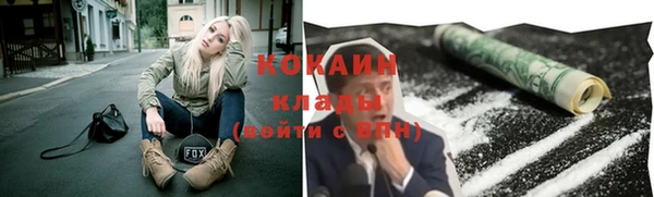 PSILOCYBIN Белокуриха