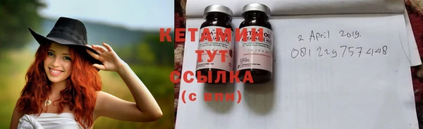 PSILOCYBIN Белокуриха