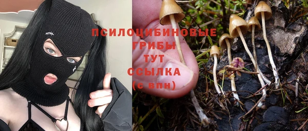 крисы Беломорск