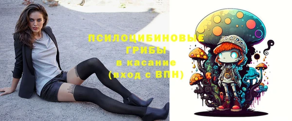PSILOCYBIN Белокуриха