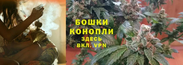 PSILOCYBIN Белокуриха