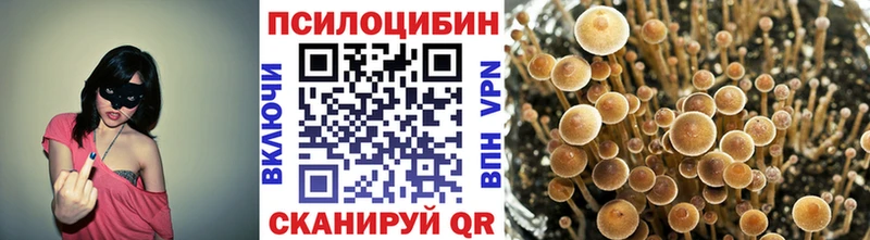 как найти   Городец  Псилоцибиновые грибы GOLDEN TEACHER 